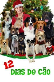 Poster for 12 Dias de Cão