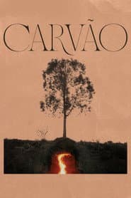 Pôster de Carvão