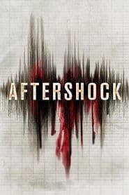 Affiche de Aftershock
