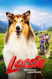 Póster de Lassie. Una nueva aventura