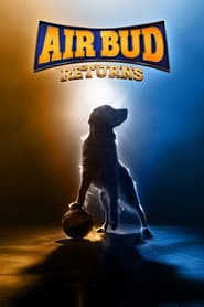 Pôster de Air Bud Returns