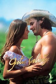 Poster for Gata Selvagem