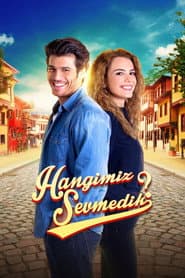 Poster for Hangimiz Sevmedik