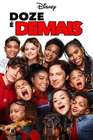 Pôster de Doze é Demais