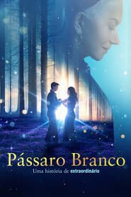 Pôster de Pássaro Branco: Uma História de Extraordinário