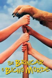 Affiche de Le Gang des Champions