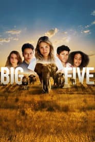 Pôster de Big Five