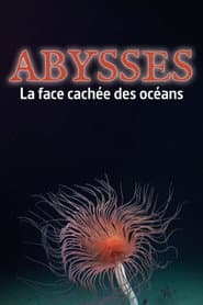 Pôster de Abysses, la face cachée des océans
