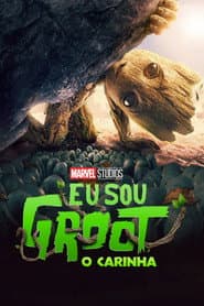 Affiche de O Carinha