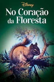 Poster for No Coração da Floresta