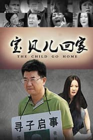 Pôster de 宝贝儿回家