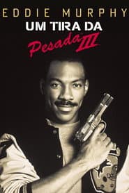 Affiche de Um Tira da Pesada 3