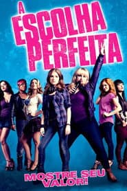 Pôster de A Escolha Perfeita
