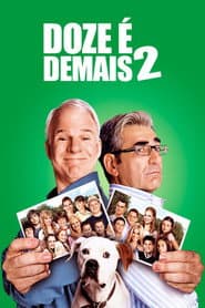 Poster for Doze é Demais 2