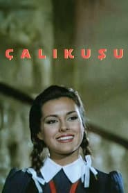 Poster for Çalıkuşu