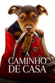 Póster de A Caminho de Casa