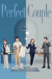 Póster de 完美伴侣