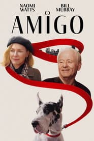 Poster for O Amigo