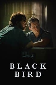 Pôster de Black Bird