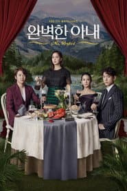 Pôster de Perfect Wife
