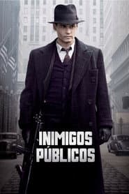 Pôster de Inimigos Públicos
