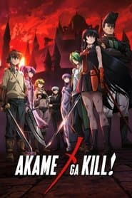 Affiche de Red Eyes Sword : Akame ga Kill!