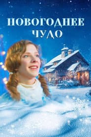 Pôster de Новогоднее чудо