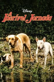 Poster for A Incrível Jornada
