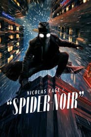 Poster for Spider-Noir