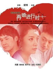 Pôster de 再婚进行时
