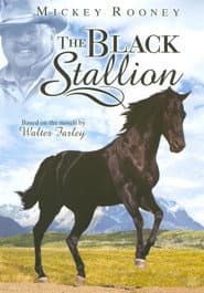 Pôster de The Adventures of the Black Stallion