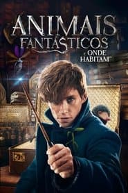 Poster for Animais Fantásticos e Onde Habitam