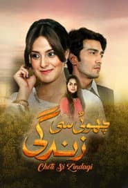 Poster for چھوٹی سی زندگی