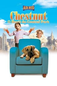 Poster for Chestnut: O Herói do Central Park