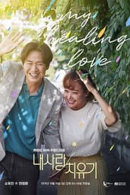 Poster for 내 사랑 치유기