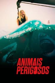 Póster de Animais Perigosos