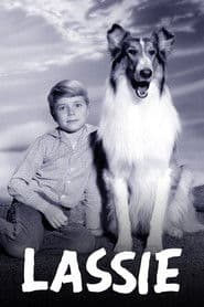 Affiche de Lassie