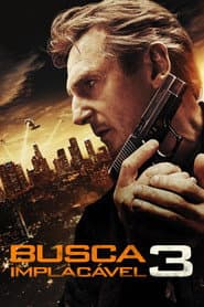 Pôster de Busca Implacável 3