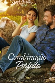 Poster for Combinação Perfeita