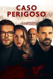 Pôster de Caso Perigoso