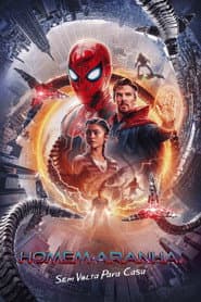 Póster de Homem-Aranha: Sem Volta Para Casa