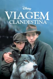 Poster for Viagem Clandestina
