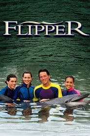 Pôster de As Novas Aventuras de Flipper