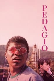 Pôster de Pedágio
