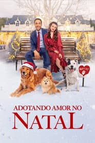 Poster for Adotando Amor no Natal
