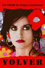 Affiche de Volver