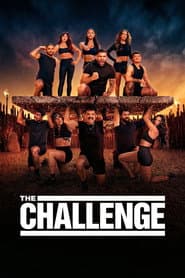 Poster for The Challenge