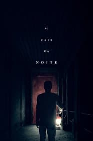 Póster de Llega de noche