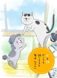 Pôster de Inu to Neko Docchi mo Katteru to Mainichi Tanoshii