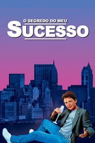 Pôster de O Segredo do Meu Sucesso